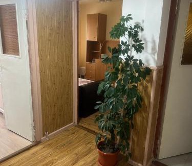 Ocna Sibiului Apartment | Comfortable Stay at Apartament La Ilie with Breakfast Included