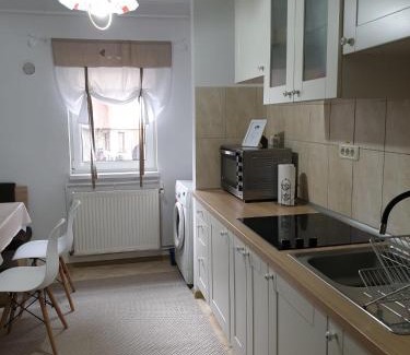 Lupeni Apartment | Eco-Friendly Retreat at Apartament La Vivi – Pet Friendly!