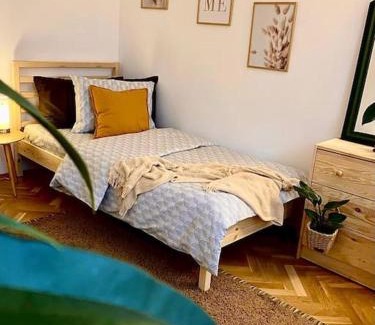 Tirgu Mures Apartment | Premier Apartment Near UMFST University - Family Friendly Stay