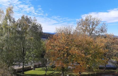 Kamienna Gora Apartment | Cozy Apartament Laurka: Pet & Child Friendly Stay