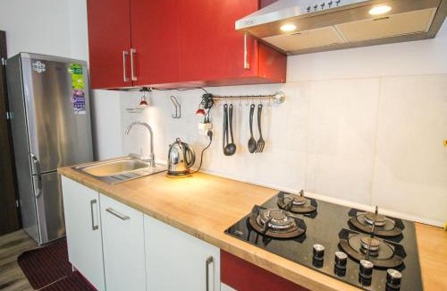 Old Town Apartment | Discover Wild Cat II: Family-Friendly Stay in Lublin