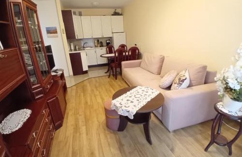 Psie Pole Apartment | Apartament Magellana