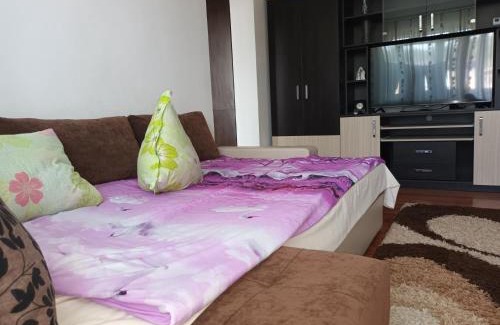 Petrosani Apartment | Pet-Friendly Retreat in Petrosani with Breakfast Included