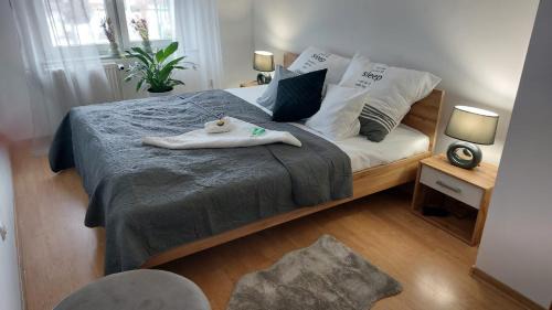 Głuchołazy Apartment | Pet-Friendly Retreat at Apartament Mar&Mel - Rated 9.9/10