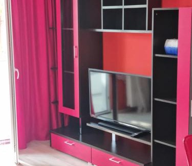 Gura Suhasului Apartment | Exceptional Stay at Apartament Mia: Pet & Child-Friendly