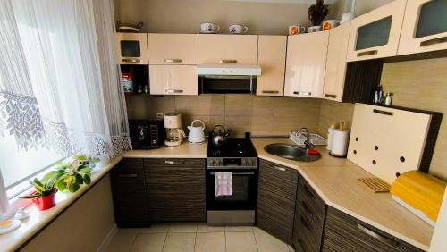 Wierzchowisko Apartment | Apartament Michałek Częstochowa