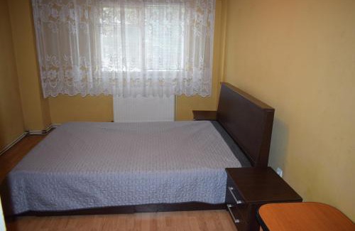 Baia Mare Apartment | Pet-Friendly Apartment Modest Traian: Family-Ready Comfort