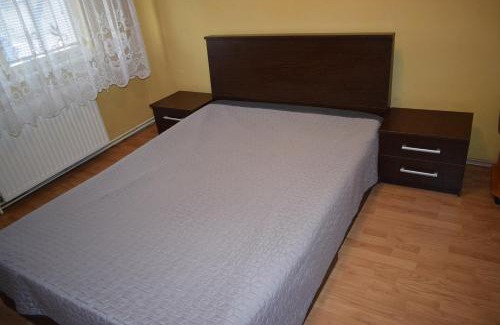 Baia Mare Apartment | Pet-Friendly Apartment Modest Traian: Family-Ready Comfort