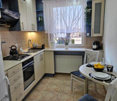 Zamosc Apartment | Pet-Friendly Retreat: Apartament na Orlej in Zamości
