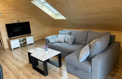 Kroscienko nad Dunajcem Apartment | Discover Family-Friendly Apartament na poddaszu u Reni