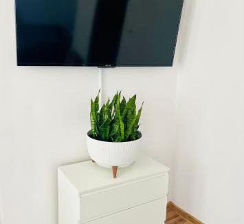 Radzyn Podlaski Apartment | Pet-Friendly Getaway at Apartament na Spółdzielczej
