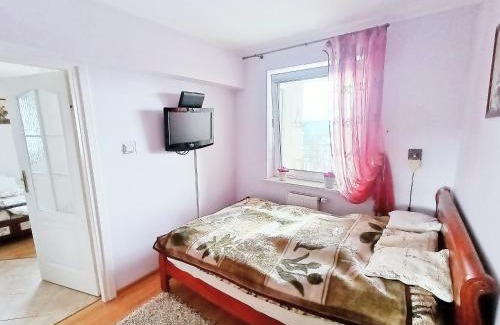 Olsztyn Apartment | Pet-Friendly Apartament na Srebrnej with 9.4/10 Rating