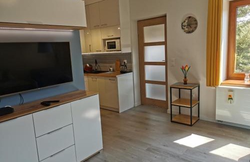 Duszniki Zdroj Apartment | Pet-Friendly Retreat: Apartament Na Wzgórzu, Rated 9.8