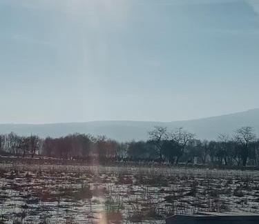 Miedzylesie Apartment | Idyllic Apartament nad potokiem: Guest Rated 9.9/10