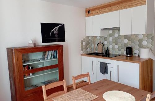 Ladek-Zdroj Apartment | Relaxing Retreat: Apartament nad strumykiem Lądek-Zdrój