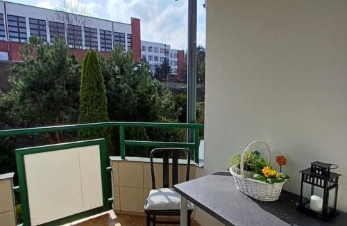 Gdansk Apartment | Family-Friendly Stay at Apartament Nadmorski Las, Rated 10/10