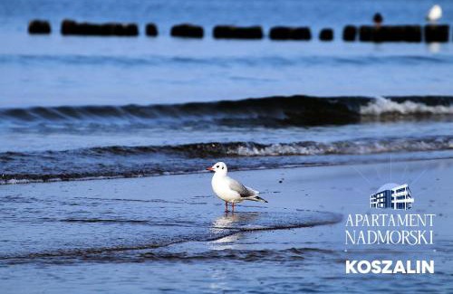 Koszalin Apartment | Cozy Apartament Nadmorski with WiFi & Breakfast Included