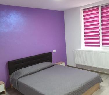 Barlad Apartment | Discover Apartament Negris: Pet & Child Friendly Retreat