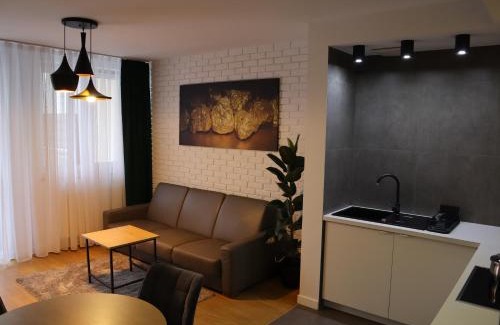 Nowy Sacz Apartment | Family-Friendly Stay at Apartament Nowy Sącz - Guest Rated 9.8