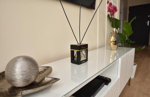 Torun Apartment | Elegant Apartment Nr 50: Family-Friendly with Parking