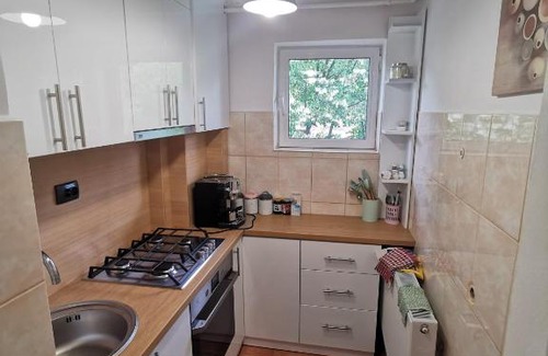 Gura Suhasului Apartment | Discover Family-Friendly Comfort at Apartament Ocnele Mari