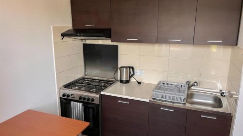 Muszyna Apartment | Apartament Ogrodowa BIS
