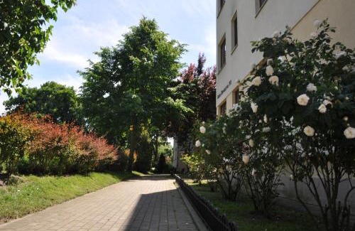 Orlowo Apartment | Pet-Friendly Apartament Orłowo by the Sea and Forest