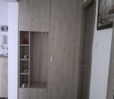 Ramnicu Valcea Apartment | Exceptional Apartament Particular with 9.5/10 Rating