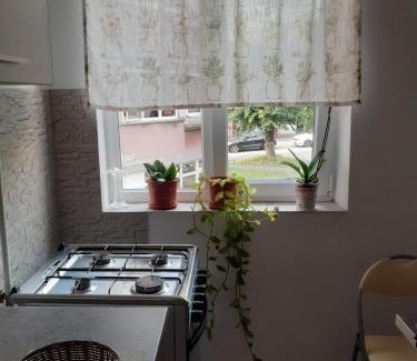 Ramnicu Valcea Apartment | Exceptional Apartament Particular with 9.5/10 Rating