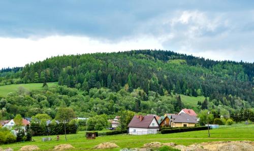 Krynica-Zdroj Apartment | Pet-Friendly Escape at Apartament Pod Łanem - 9.6/10 Rated