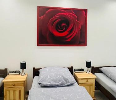 Krupski Mlyn Apartment | Comfortable Stay at Apartament pod ŚWIERKIEM