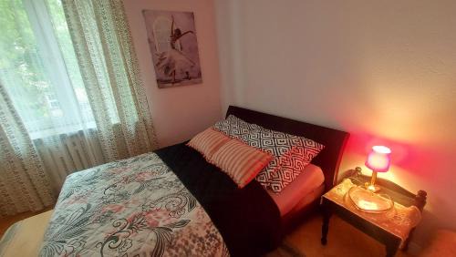 Osiedle Centrum Apartment | Pet-Friendly Apartament przy Rynku Białówny - Rated 10/10