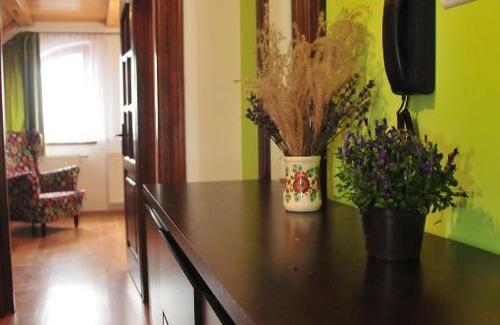Lancut Apartment | Pet-Friendly Retreat: Apartament przy Walowej, 10/10 Rated