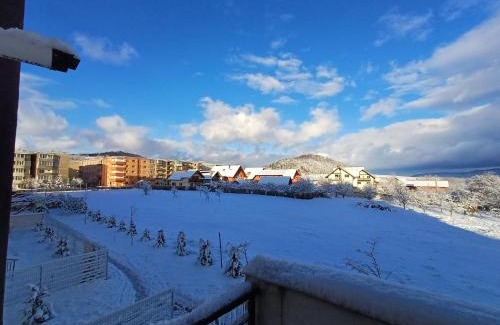 Zarnesti Apartment | Pet-Friendly Apartament Ramonte: Guest Rated 9.9/10