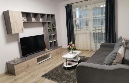 Sibiu Apartment | Guest Rated 9.8: Family-Friendly Apartament Rubin Awaits
