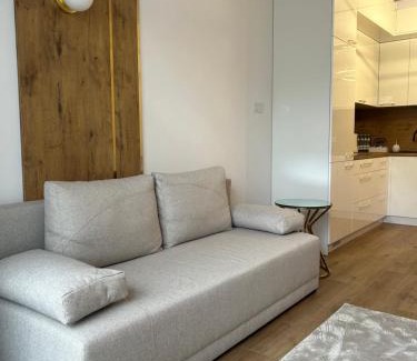 Elblag Apartment | Top-Rated Child-Friendly Stay at Apartament Stare Miasto