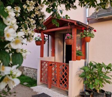 Wlen Apartment | Discover Apartament Strzyżowiec 80: Pet Friendly Retreat