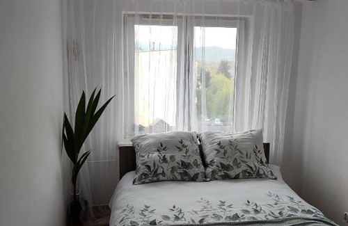 Sanok Apartment | Pet-Friendly Apartament Sweet Dreams with Top Guest Ratings