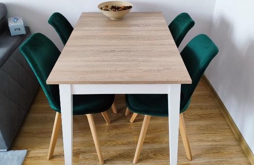 Sanok Apartment | Pet-Friendly Apartament Sweet Dreams with Top Guest Ratings