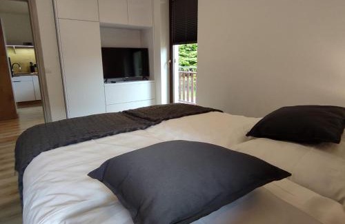 Stronie Slaskie Apartment | Guest Rated: 9.8 at Apartament Szumi Las Kletno