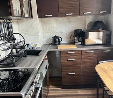 Ladek-Zdroj Apartment | Pet-Friendly Retreat at Apartament "U OLI" - 8.9/10 Rated