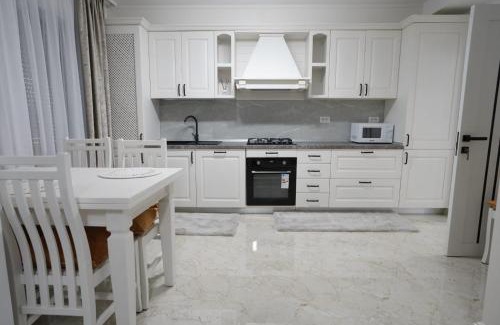 Curtea De Arges Apartment | Apartament Ultracentral NICOL