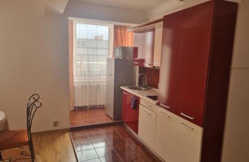 Baia Mare Apartment | Family-Friendly Stay at Apartament Unirii Belvedere