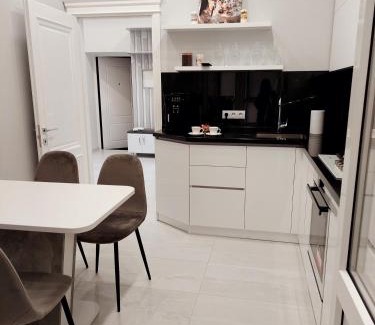 Chisinau Apartment | Highly Rated Vip Chirie Apartment - Family & Accessible Stay