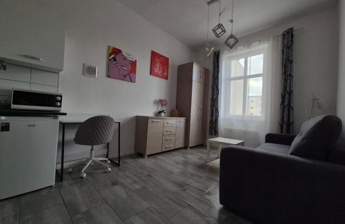 Sulechow Apartment | Prime Apartment in the Heart of the City with Hot Tub