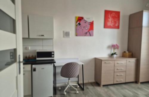 Sulechow Apartment | Prime Apartment in the Heart of the City with Hot Tub