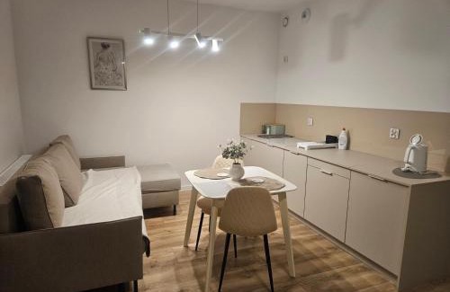 Lesko Apartment | Family-Friendly Retreat at Apartament w Dolinie Sanu nr 2
