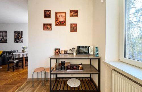 Bielsko-Biala Apartment | Apartament w sercu BB