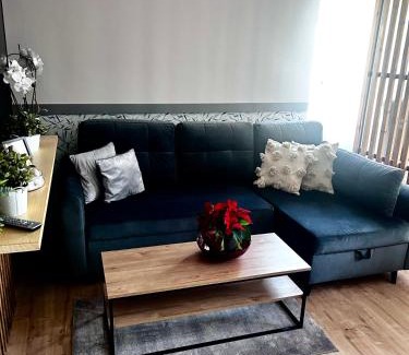Gorzow Wielkopolski Apartment | Discover Apartament Walczaka 42 with Parking & Pet Friendly