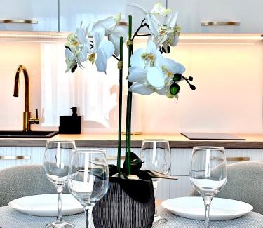 Olsztyn Apartment | Apartament WHITE GLOVE DELUXE Nad Zatoką Plaża